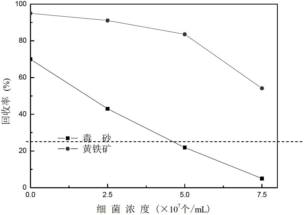 A method for separating pyrite and arsenopyrite by using microbial flotation method