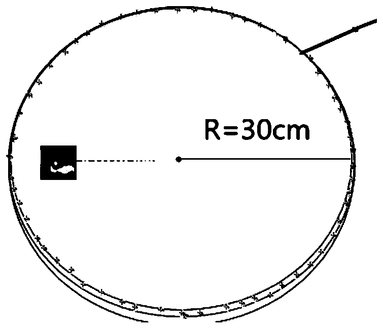 Virtual alpha particle scattering experiment system