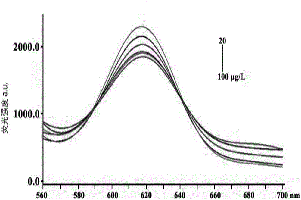 Preparation method of saxitoxin molecularly-imprinted nano fluorescent material and application