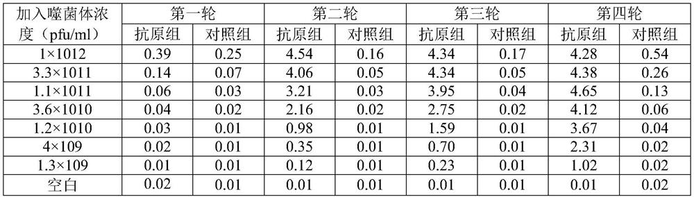 Specific human-derived scFv antibody for resisting hemocyanin and application of specific human-derived scFv antibody