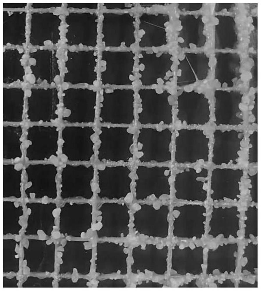 Full-thickness asphalt pavement structure with steel wire mesh reinforced asphalt concrete as base layer