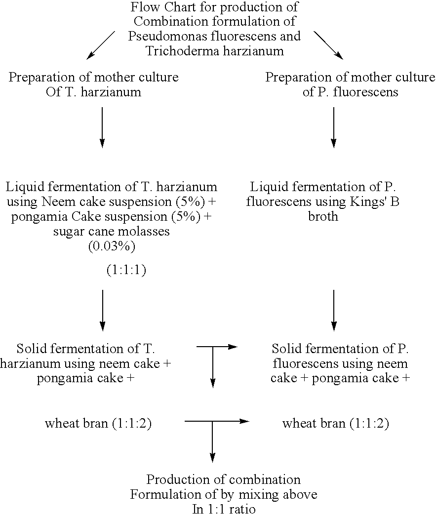 Process for producing a bio-pesticide composition containing Trichoderma harzianum and Pseudomonas fluorescens