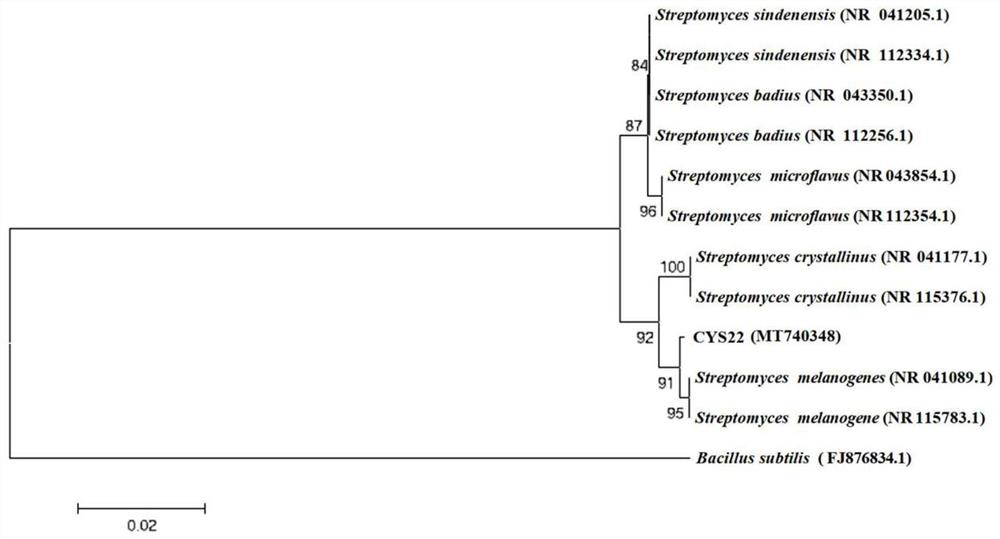 A kind of Streptomyces niger cys22, its metabolites and application