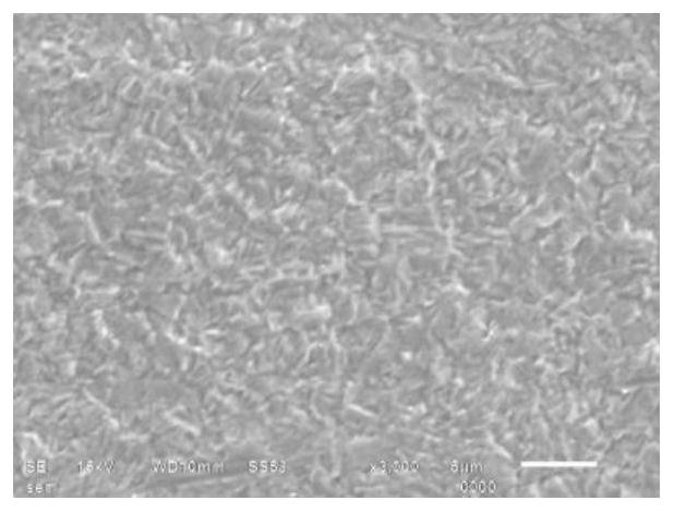 Ammonia-nitrogen-free environment-friendly micro-etching pretreatment liquid and treatment method