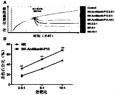 Preparation method for membrane surface engineered NK cell, pharmaceutical composition and application