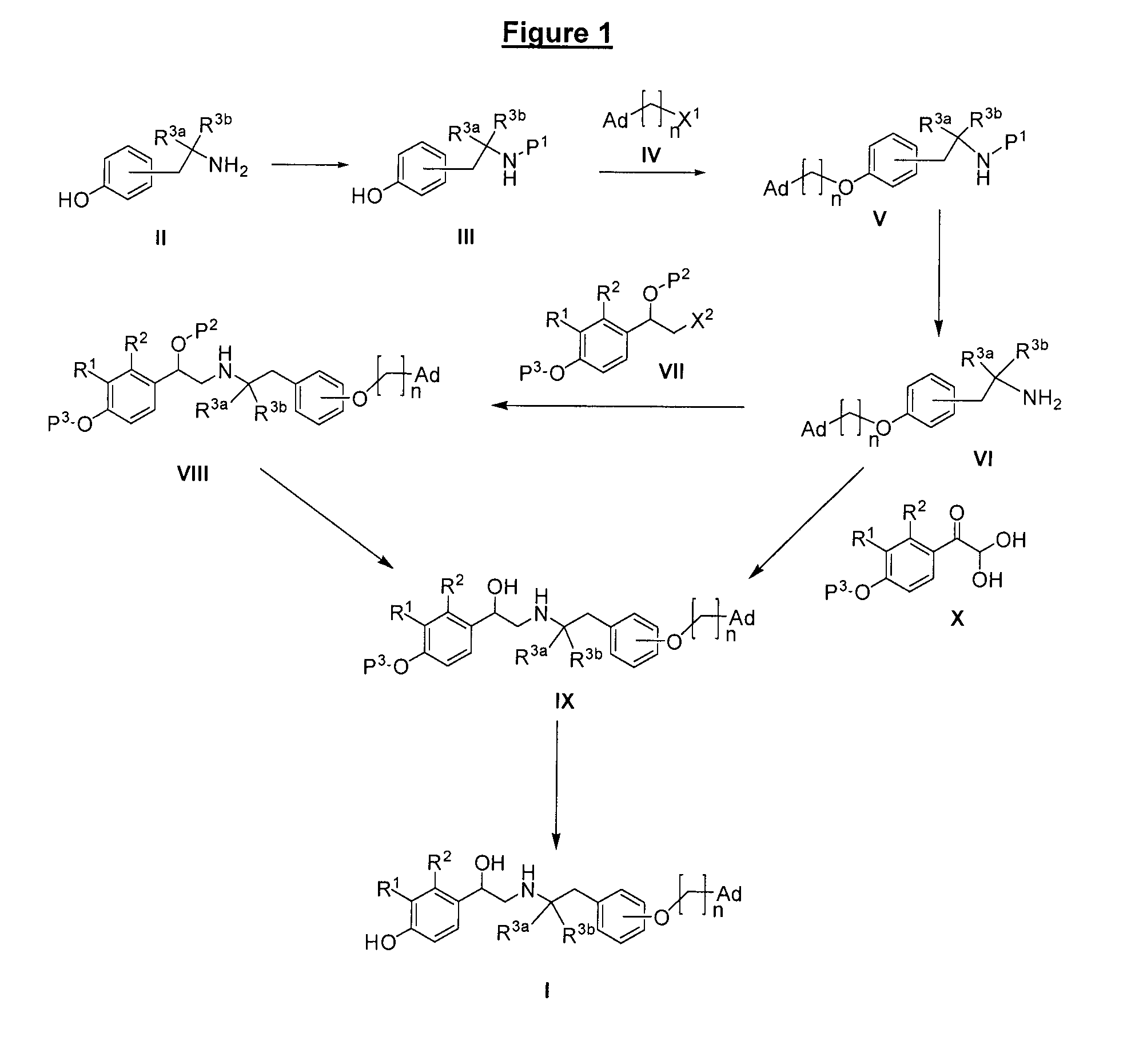 Derivatives of 4-(2-amino-1-hydroxyethyl)phenol as agonists of the β2 adrenergic receptors