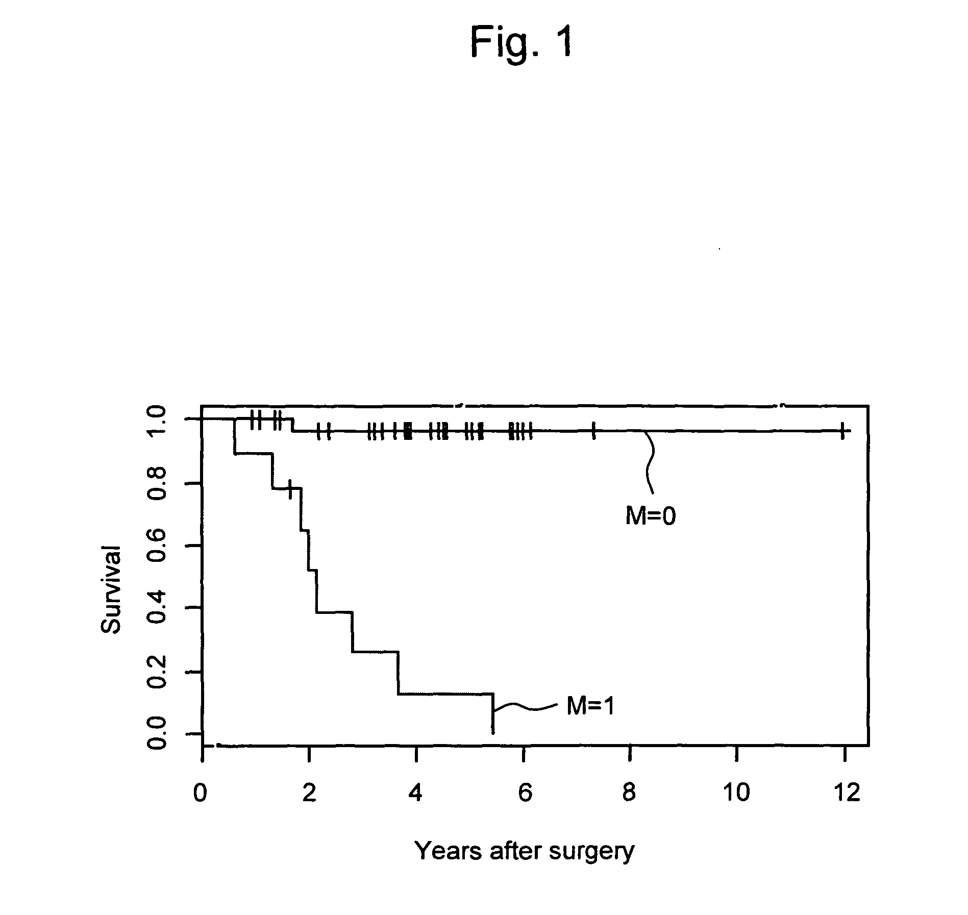 Composition and method for diagnosing kidney cancer and for predicting prognosis for kidney cancer patient