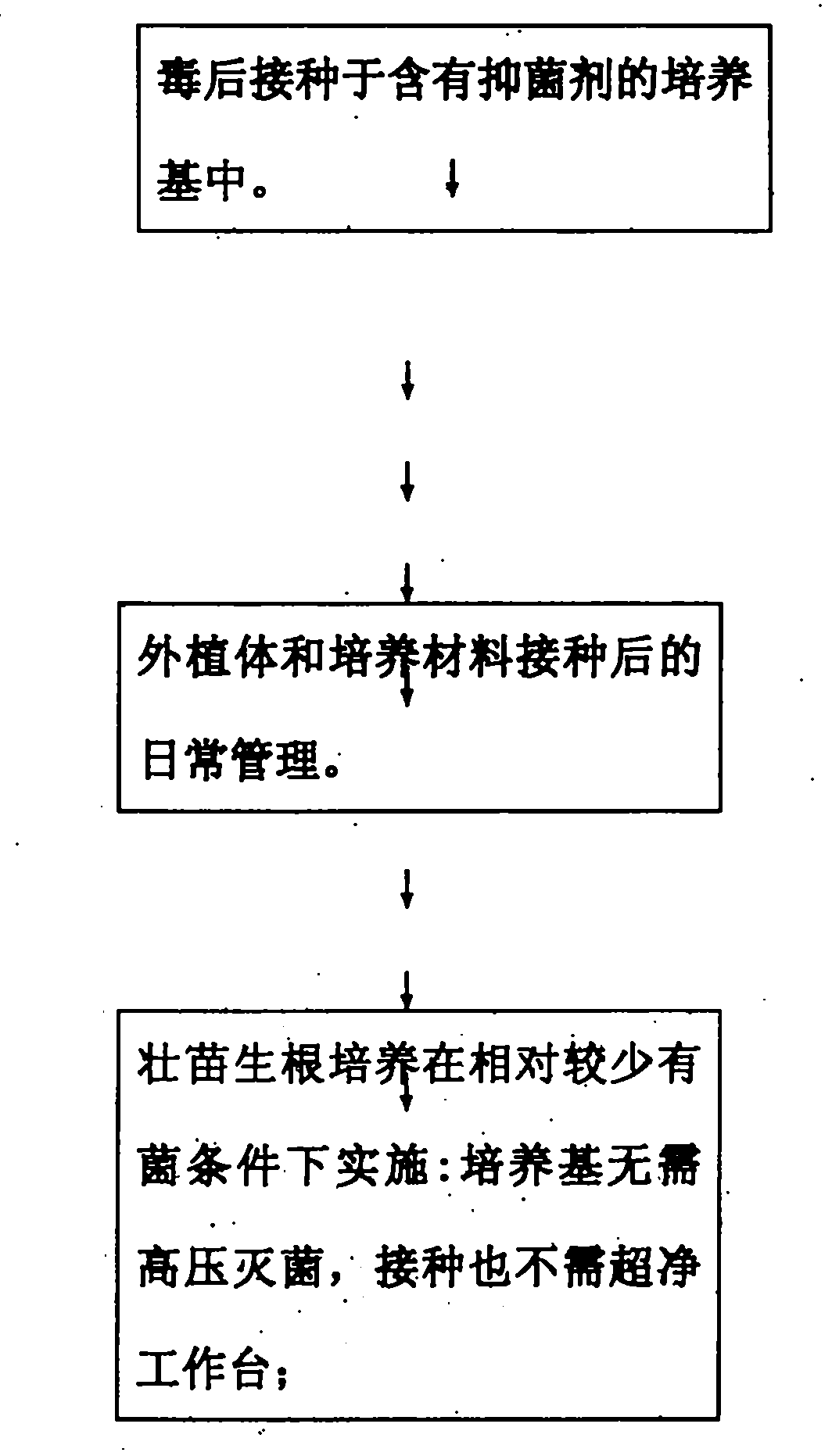 Bacteriostat composition applicable to plant tissue culture and using method thereof