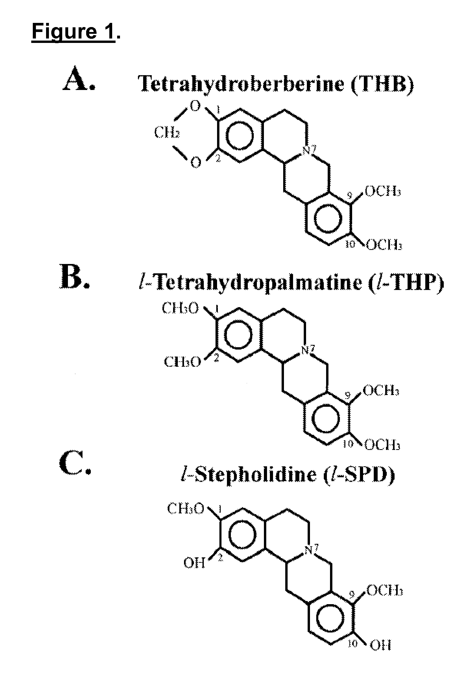 Novel methods of use of tetrahydroberberine (THB)