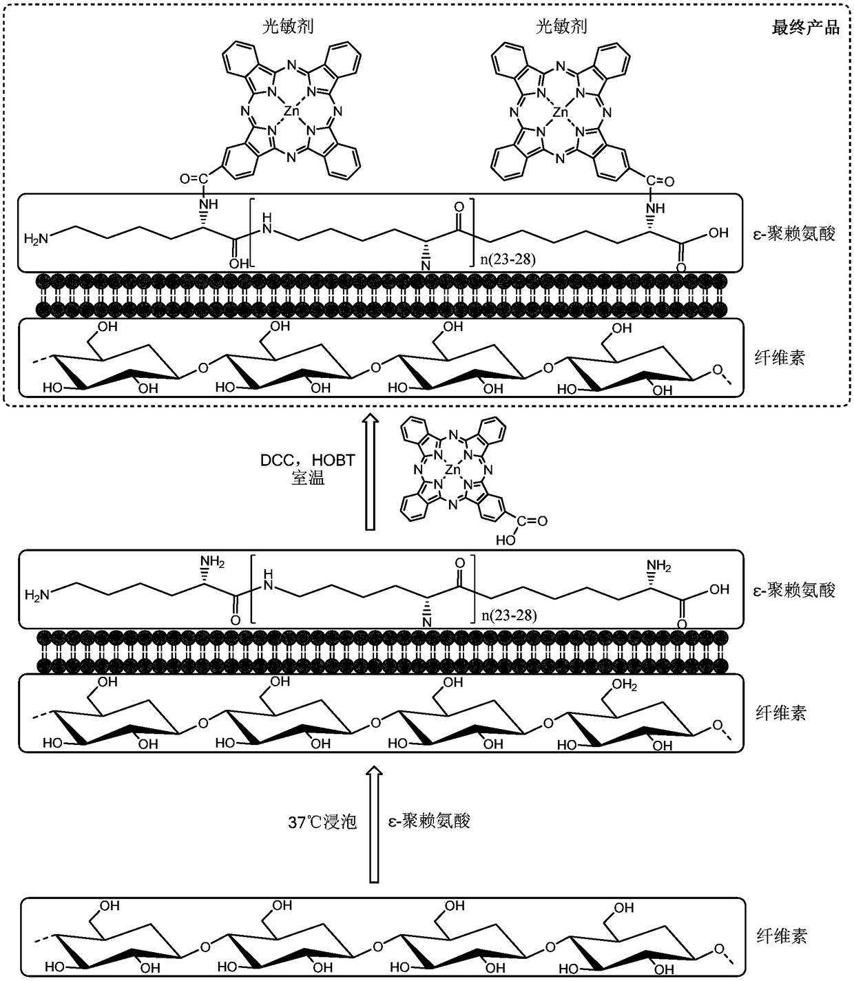 A kind of cellulose material that can be used for photodynamic antibacterial and preparation method thereof