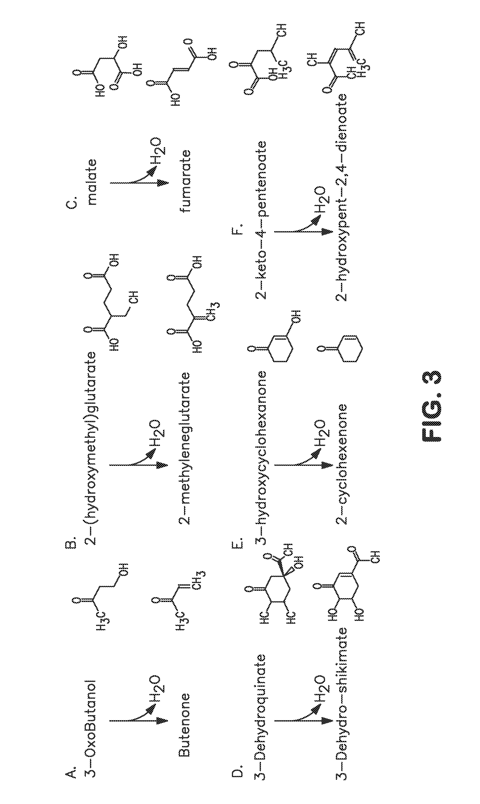 Microorganisms and methods for carbon-efficient biosynthesis of mek and 2-butanol