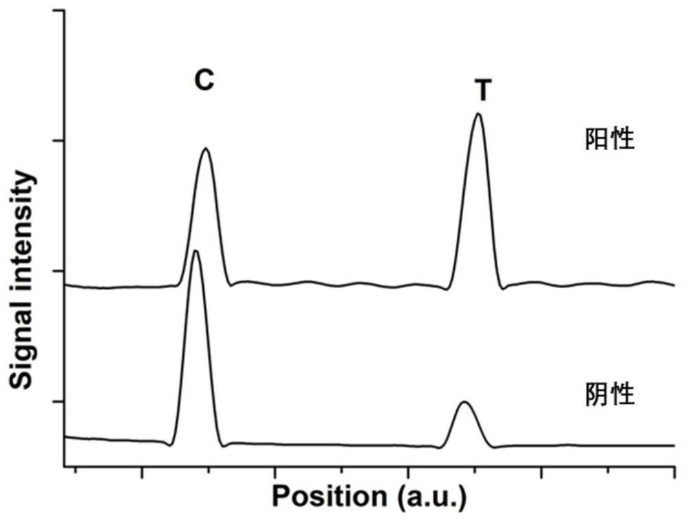 Up-conversion luminescence immunochromatographic test strip for quantitative detection of O-type foot-and-mouth disease virus antibody and preparation method thereof