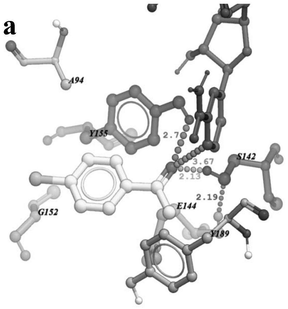 A carbonyl reductase mutant mut-accr (e144a/g152l) and its application and coding gene