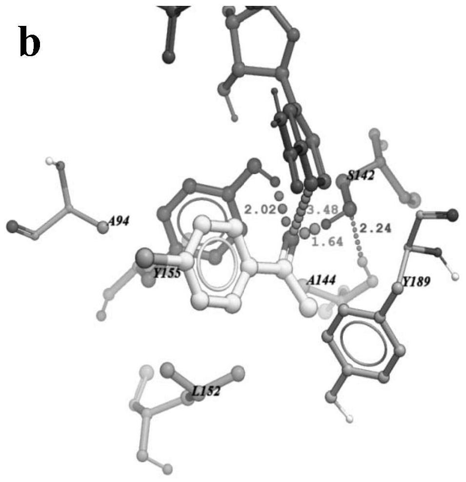 A carbonyl reductase mutant mut-accr (e144a/g152l) and its application and coding gene