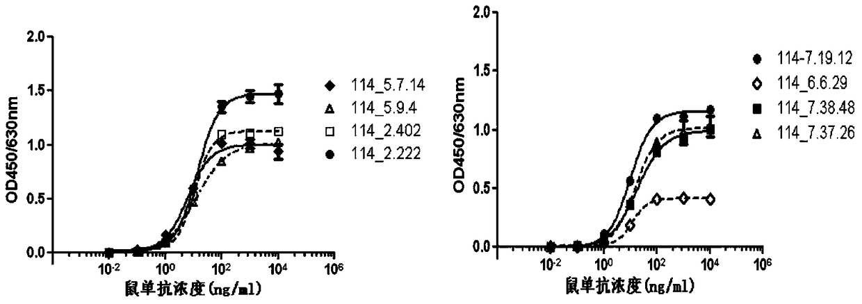 A kind of anti-human rank1 humanized antibody and its pharmaceutical composition and application