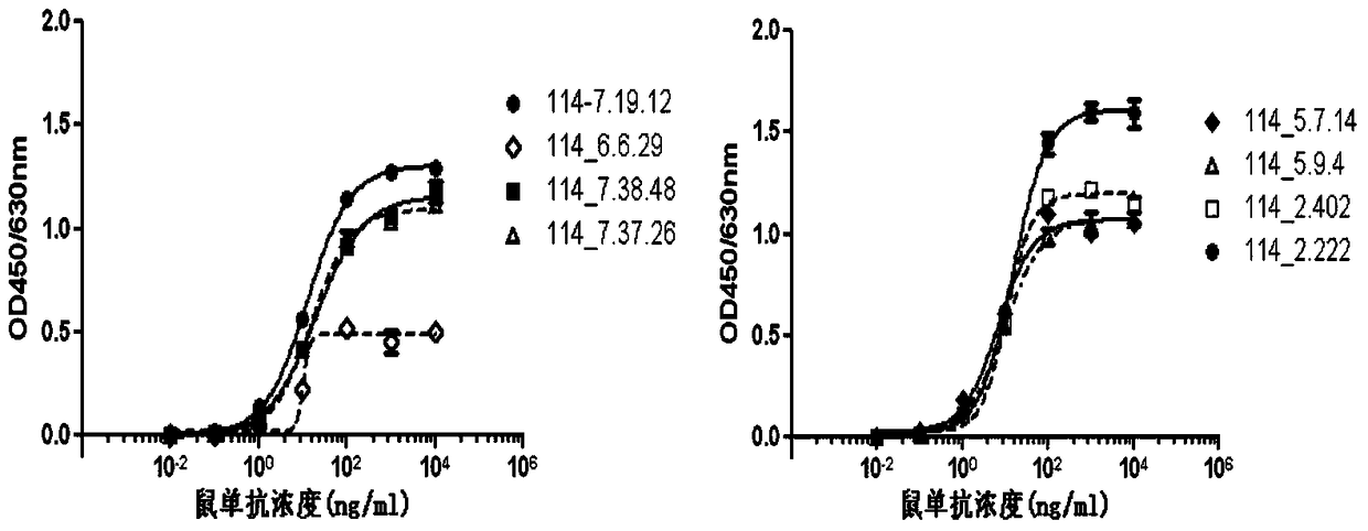 A kind of anti-human rank1 humanized antibody and its pharmaceutical composition and application