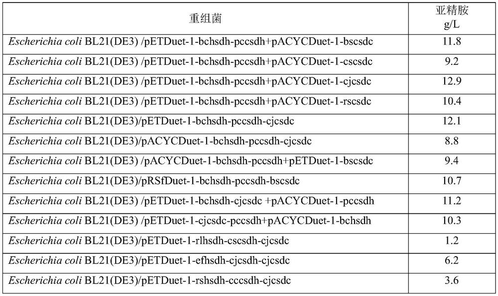 Method for synthesizing spermidine by biological way