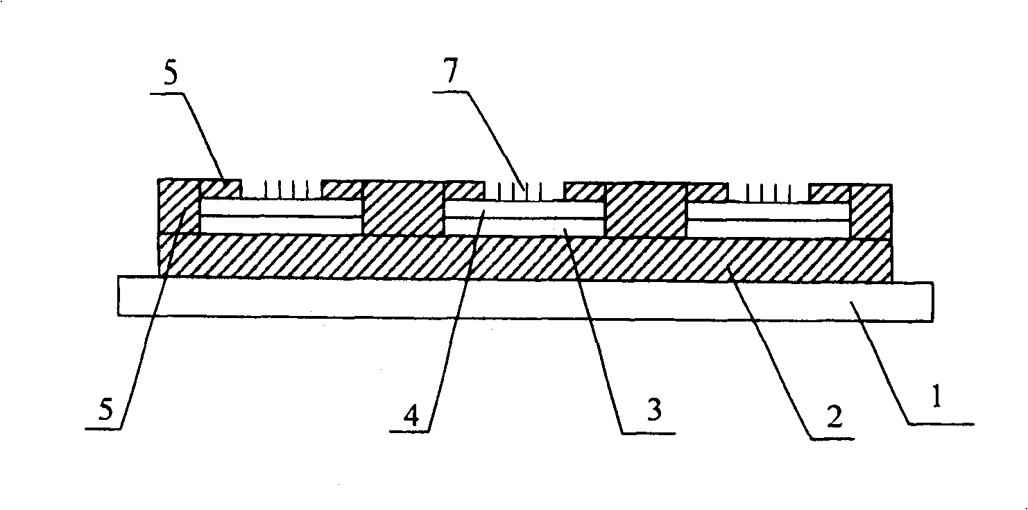 Panel display having integrated back grid structure and its manufacturing technology