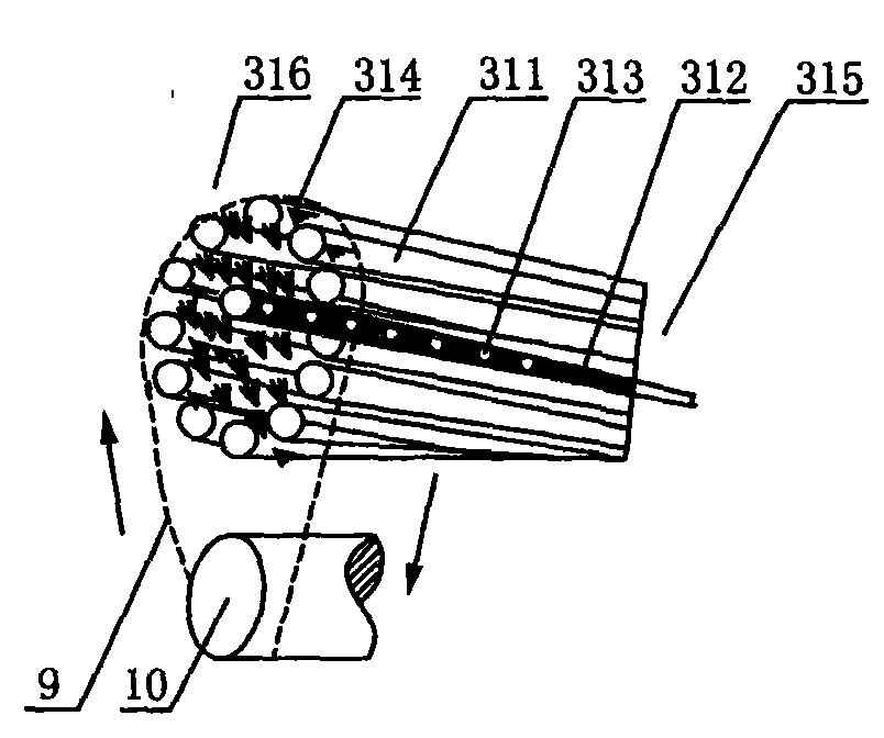 A fully automatic carrot cleaning and grading packaging device