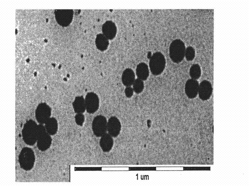 Nano sulfur sol, and preparation method and application thereof