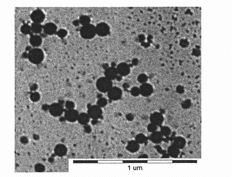 Nano sulfur sol, and preparation method and application thereof