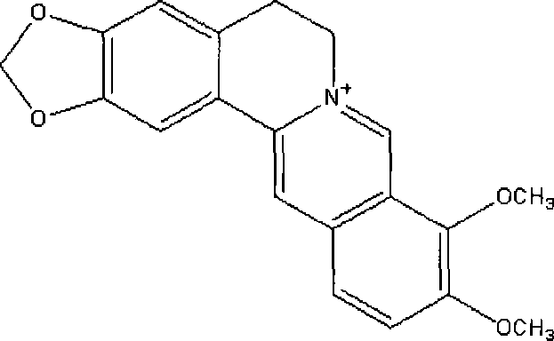 Application of berberine and its derivates in protein fluorescent detecting