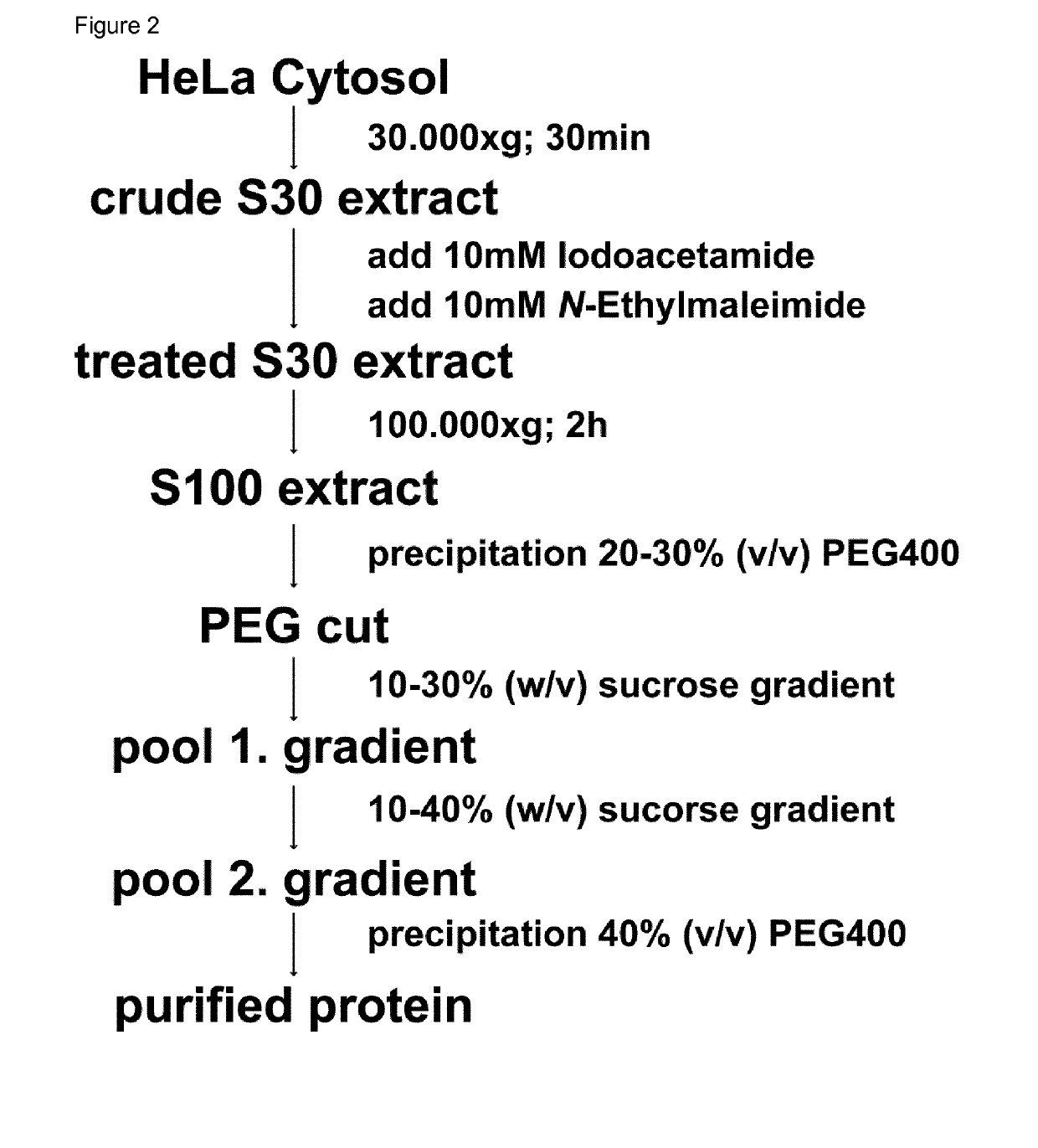 Method for the purification of biological macromolecular complexes