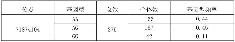 A kind of SNP molecular marker related to multiple lambs in sheep and its application