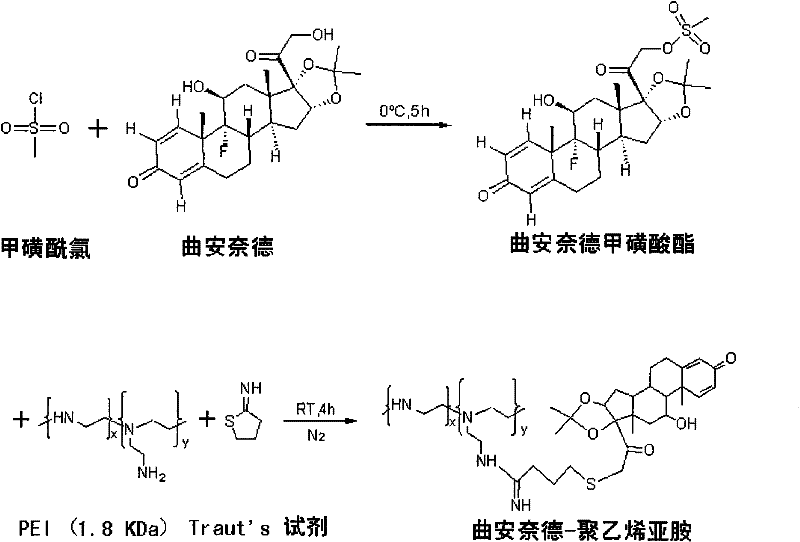 Method for preparing glucocorticoid grafted gene drug delivery vector