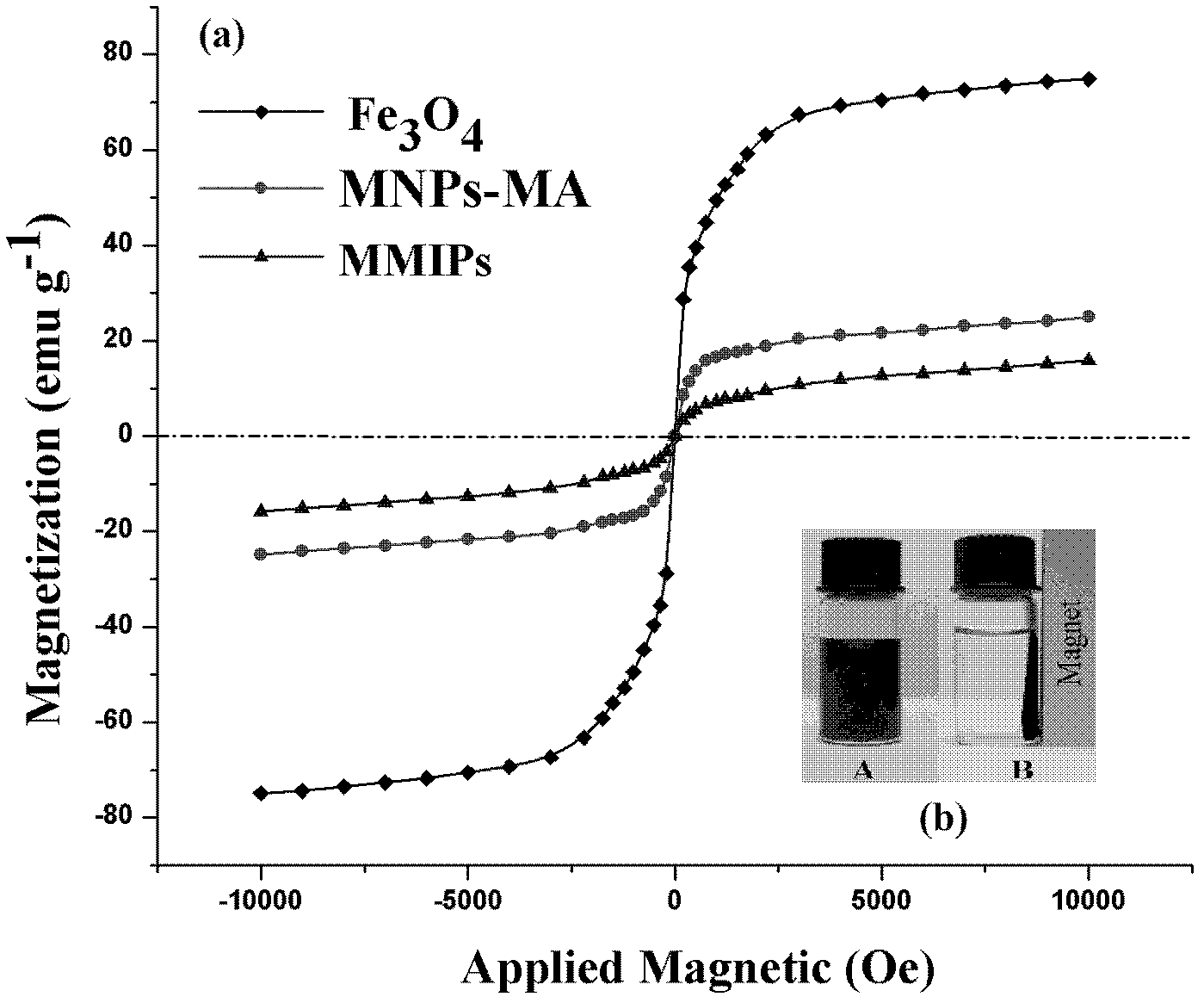 Preparation method of magnetic beads of dendritic molecular imprinting polymer on surface of estrogenic nano silica gel