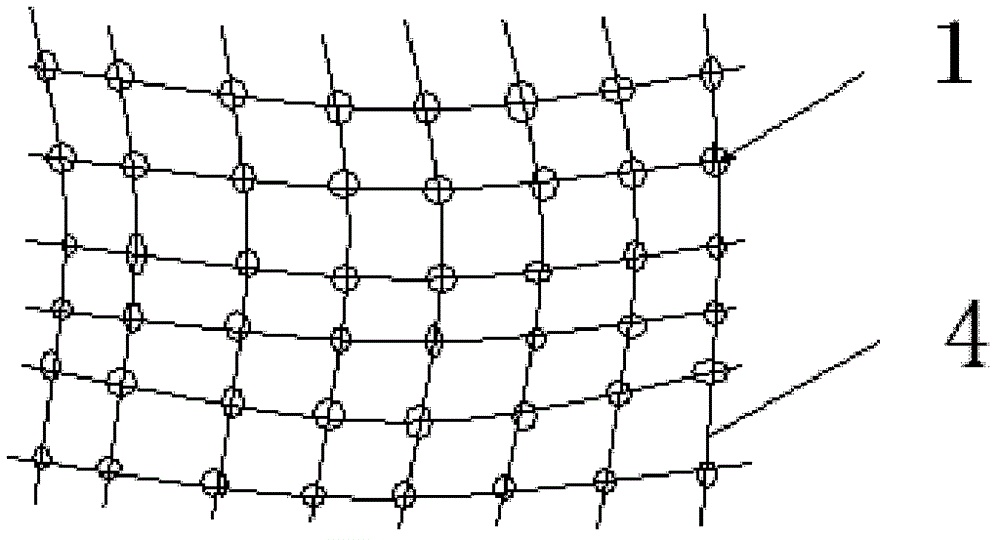 Particle cleaning element for laundry washing and laundry washing method