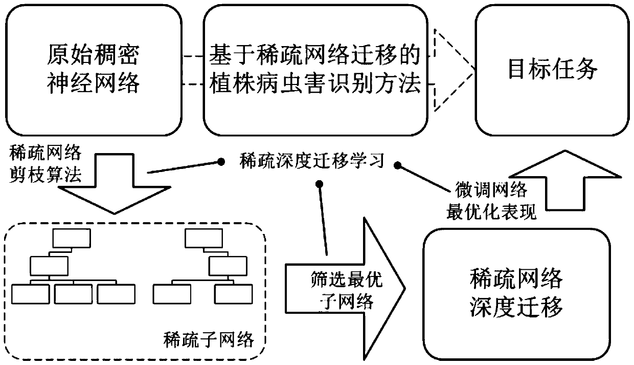 Plant disease and insect pest identification method based on sparse network migration