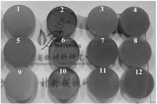 Ho-Doped transparent scandia ceramic and preparation method thereof