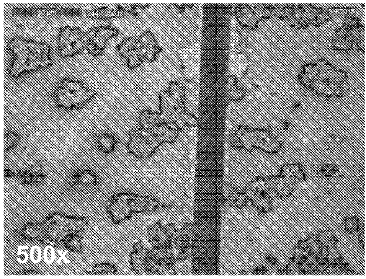 Non-aqueous compositions suitable for use in organic electronics