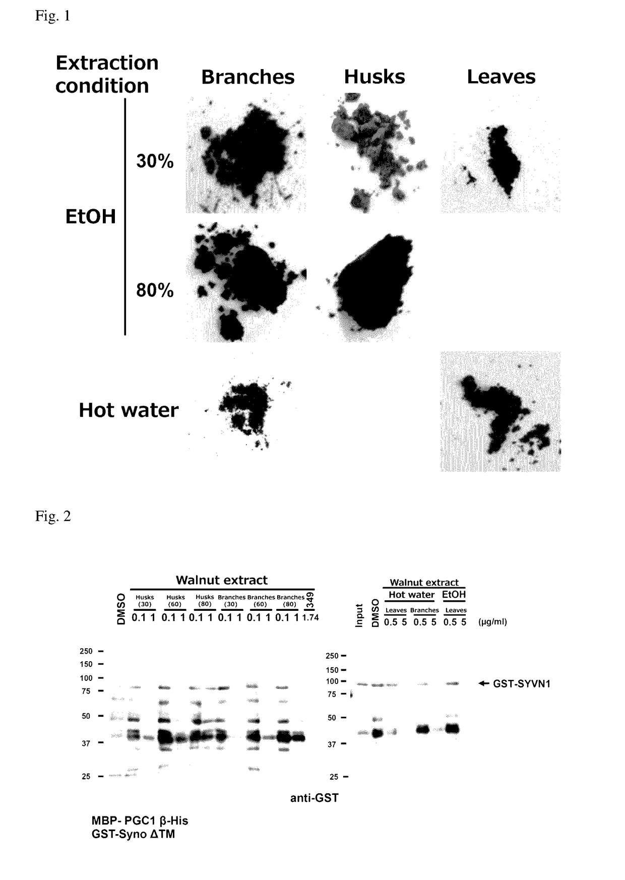 Antiobesity Agent Containing Walnut Extract