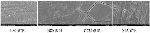 Electrochemical method for controlling activated dissolution of carbon steel grain boundary