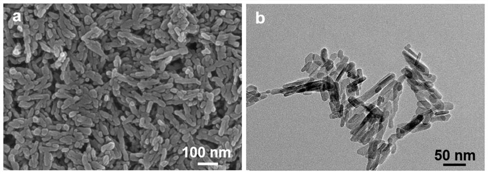 A kind of hydroxyapatite composite material with antibacterial function and its preparation method and application