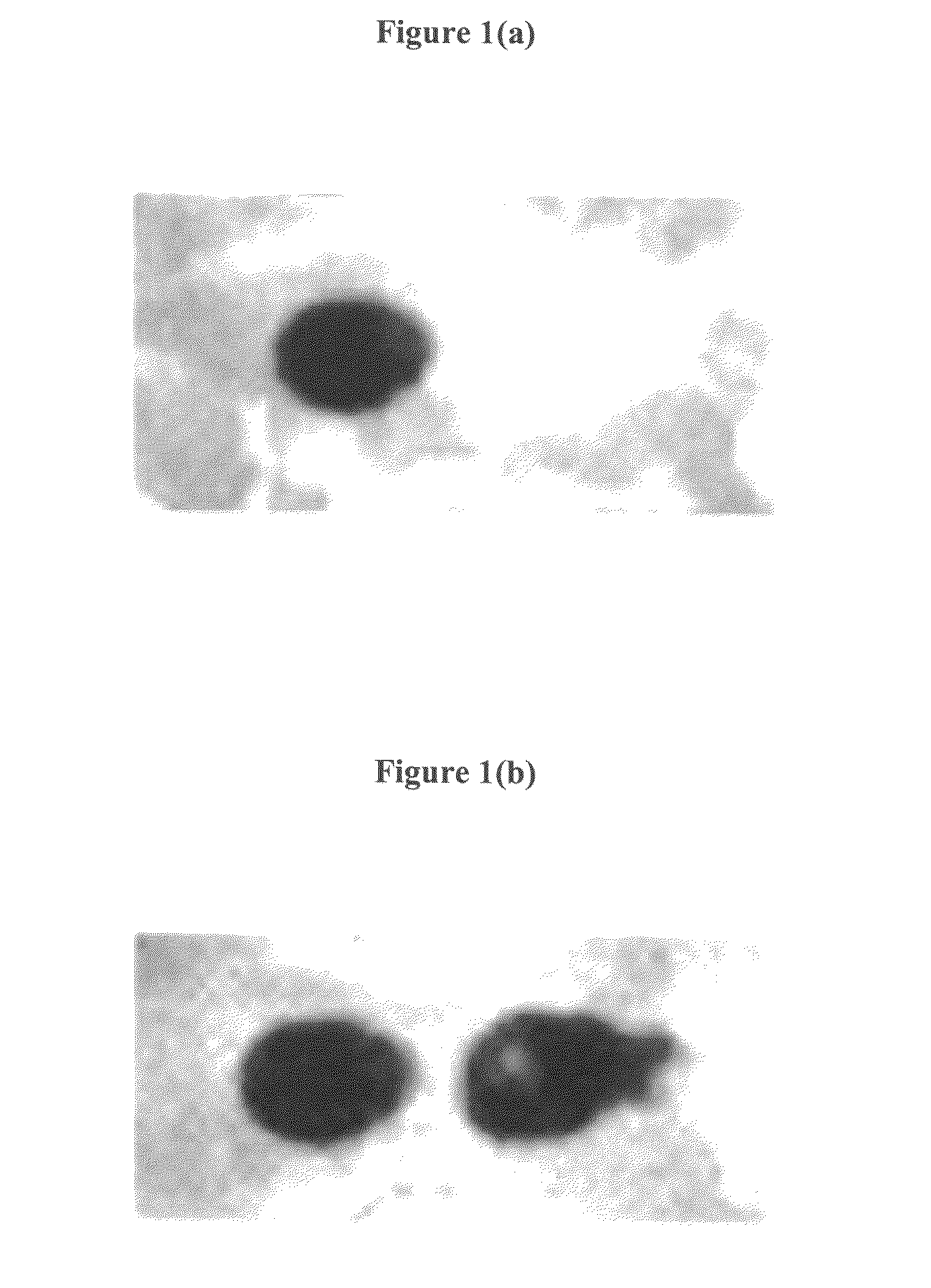 Reusable substrate for DNA microarray production