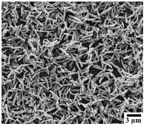Mesoporous silver carbonate nanorod visible light photocatalyst and preparation method thereof