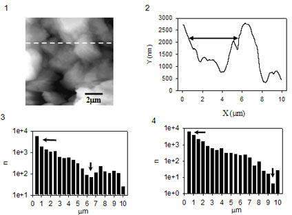Characterization method of atomic force microscope for micro-pore structure of reservoir rock core