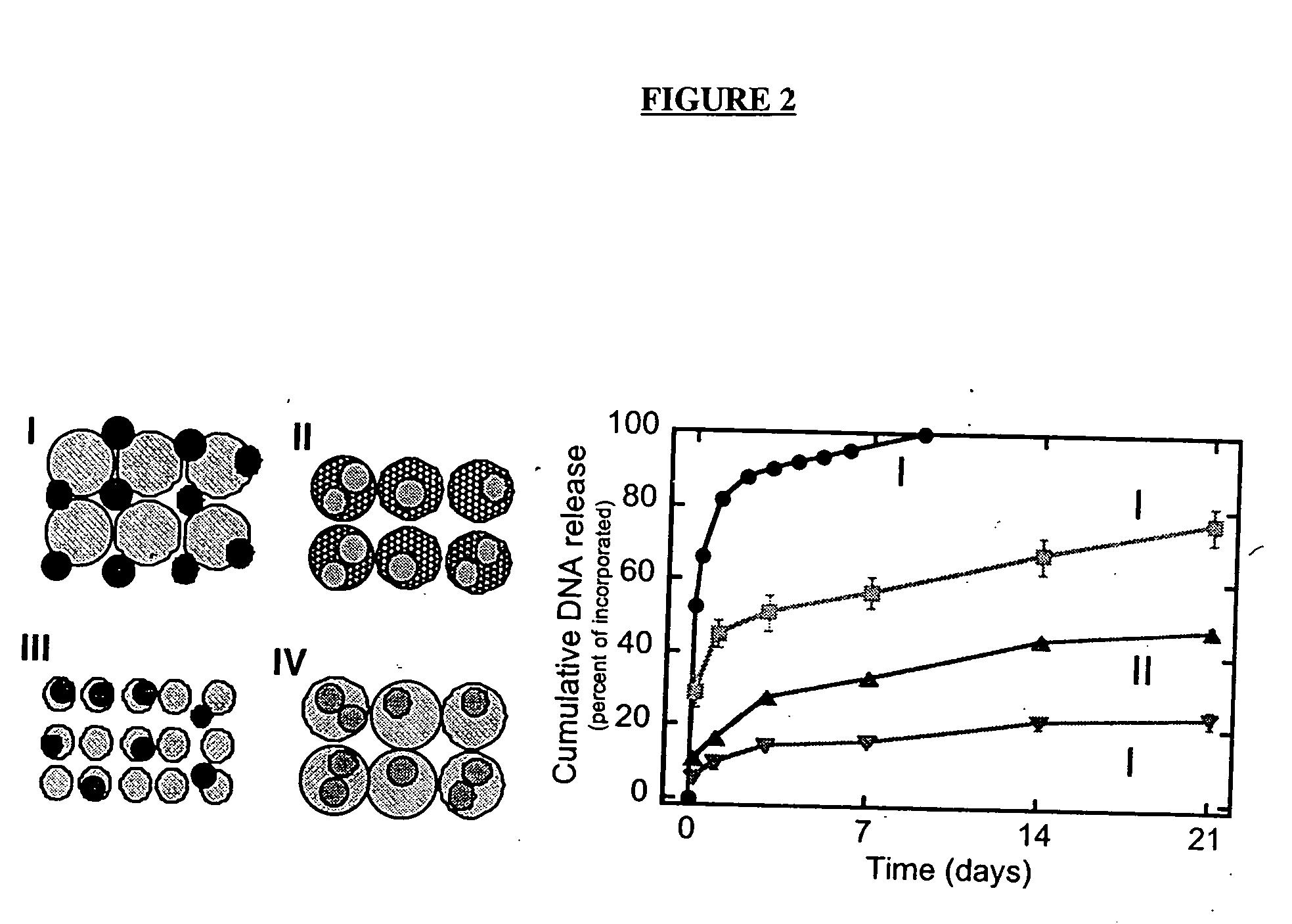 Biodegradable scaffolds and uses thereof