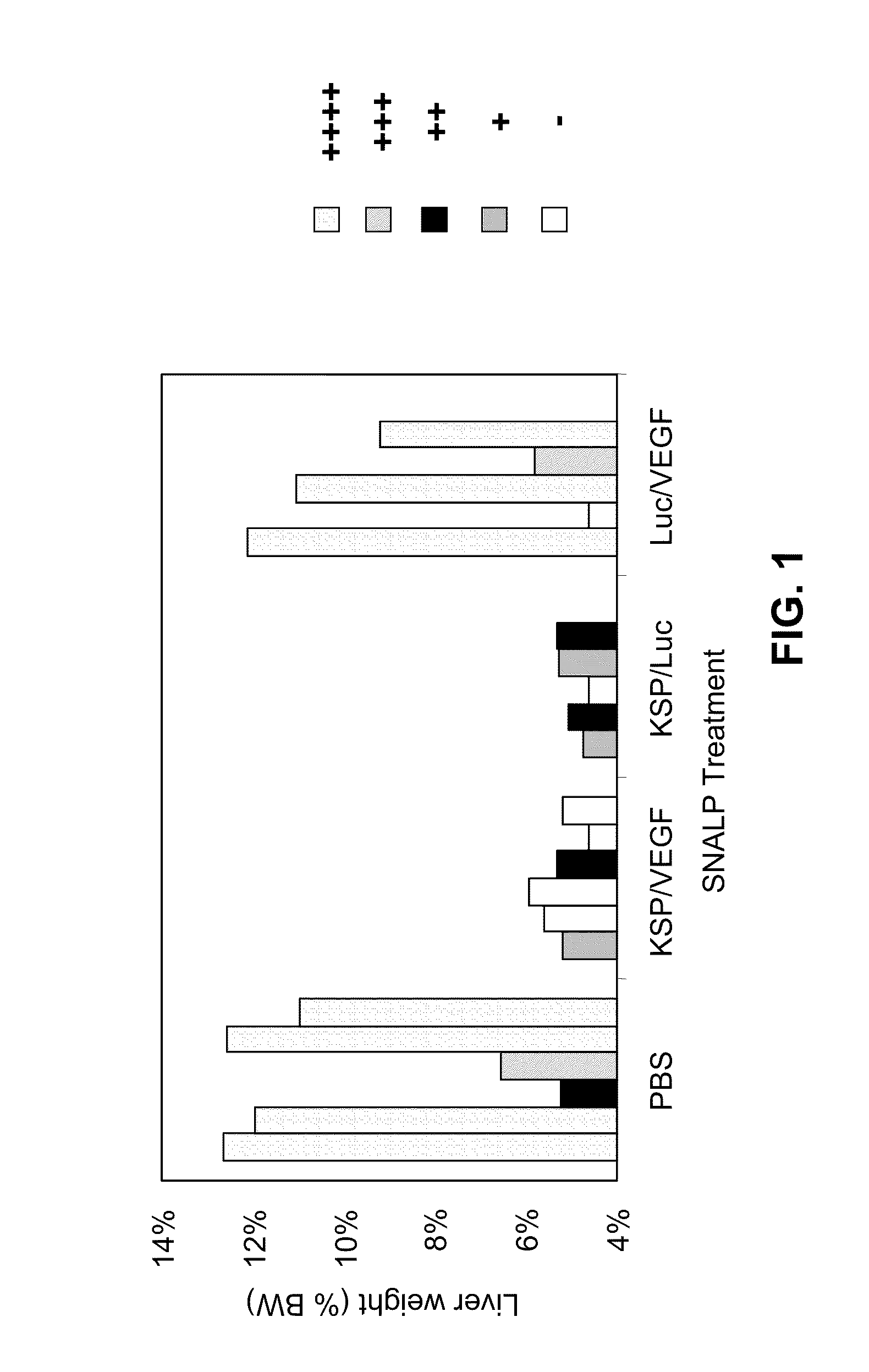 Compositions and Methods for Inhibiting Expression of Eg5 and VEGF Genes