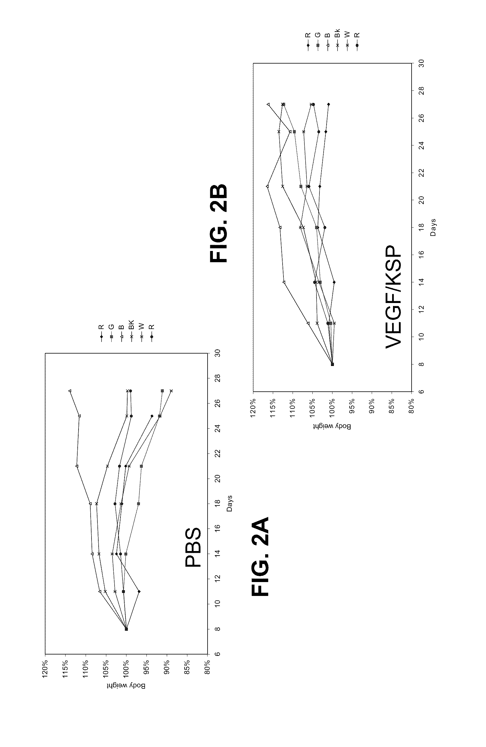 Compositions and Methods for Inhibiting Expression of Eg5 and VEGF Genes