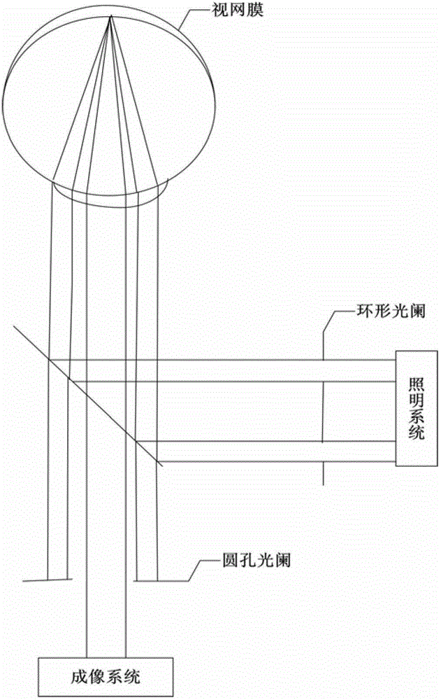 Structural dark field adaptive optics retina imager