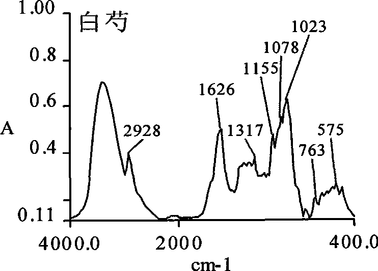 White peony root dispensing granule as well as preparation method and quality control method thereof