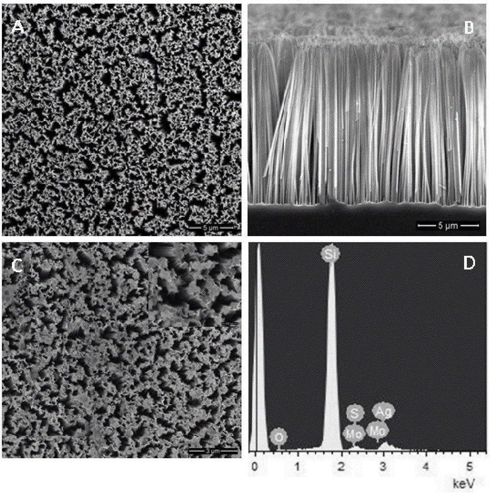 Photo-electrochemical hydrogen evolution electrode based on MoS2 and Ag modified silicon nanowire array and application thereof