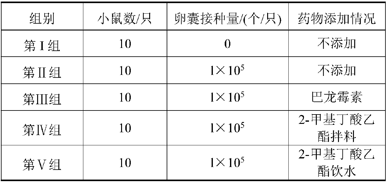 Application of ethyl 2-methylbutyrate in the preparation of anti-Cryptosporidium parvum drugs