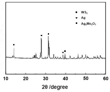 Ag/Ag2Mo2O7/WS2 heterojunction photocatalytic material and preparation method thereof