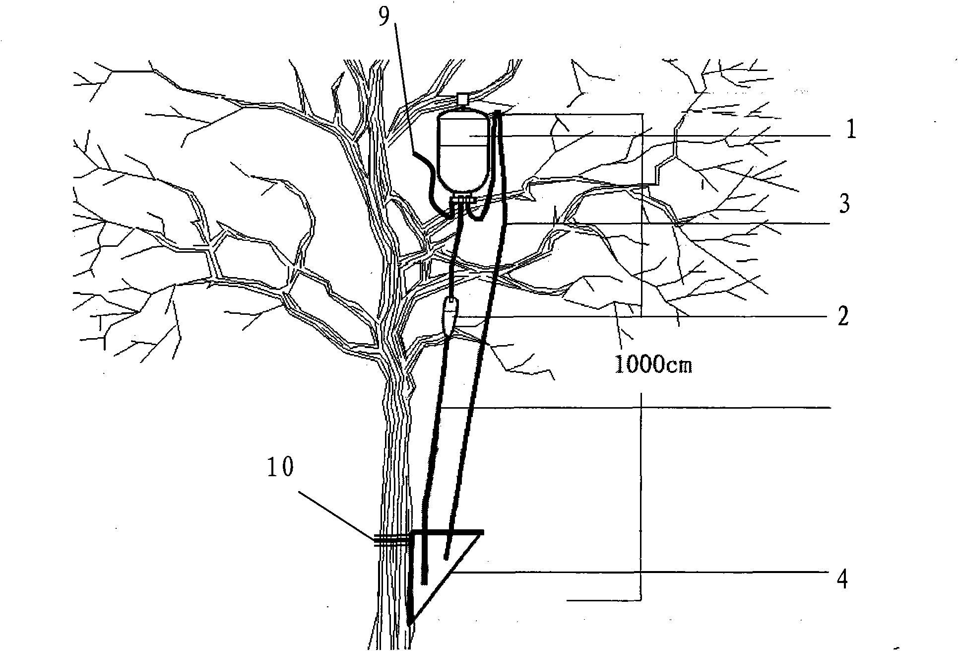 Trunk injector capable of automatically adjusting dosage along with metabolic rate of tree