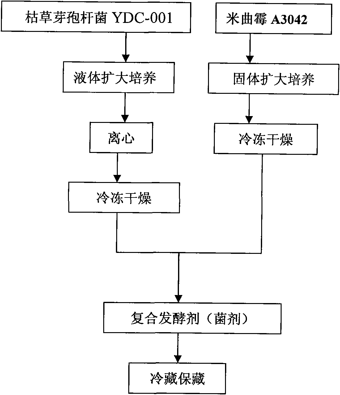 Strain for fermenting soybeans, fermentation agent containing same and use of same